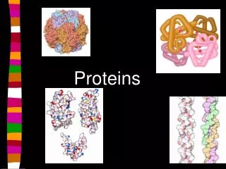 proteins