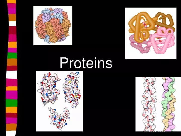 proteins