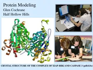 Protein Modeling Glen Cochrane Half Hollow Hills