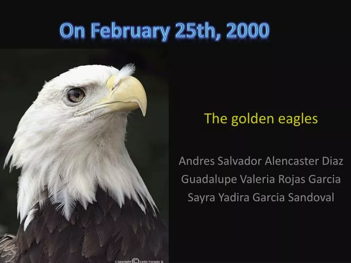 on february 25th 2000