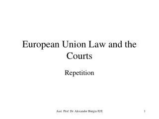 European Union Law and the Courts