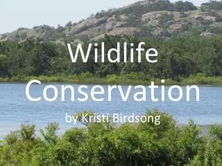 Wildlife Conservation by Kristi Birdsong