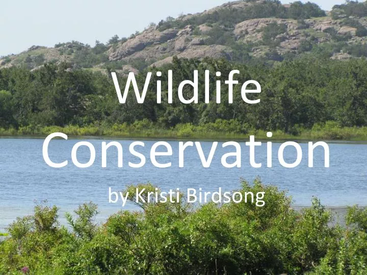 wildlife conservation by kristi birdsong