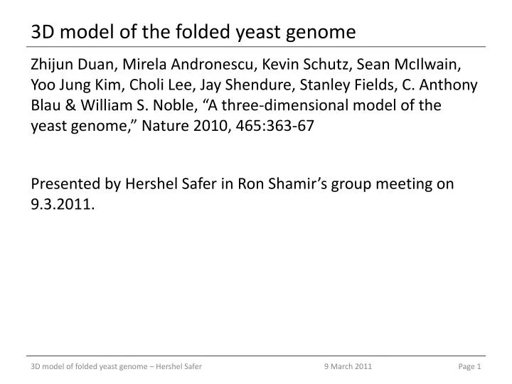 3d model of the folded yeast genome