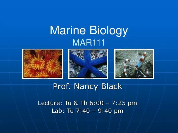 marine biology mar111