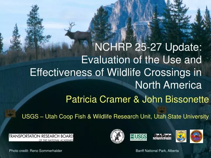 nchrp 25 27 update evaluation of the use and effectiveness of wildlife crossings in north america