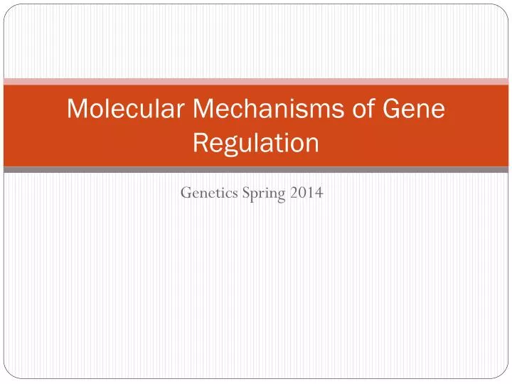 molecular mechanisms of gene regulation