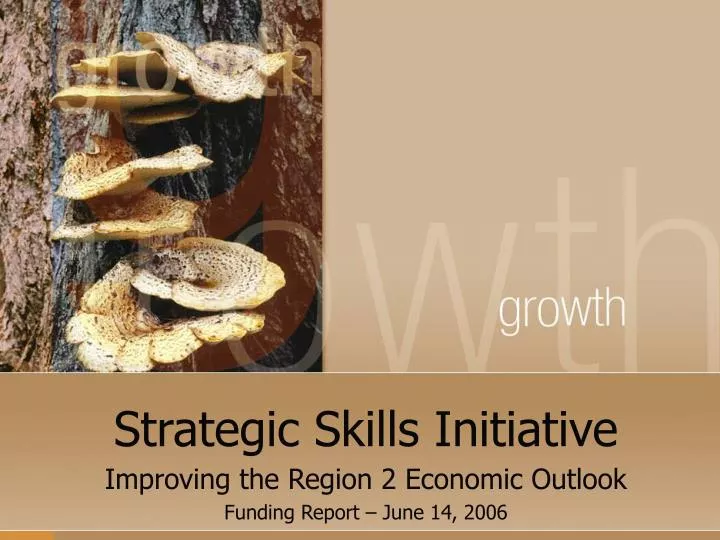 strategic skills initiative