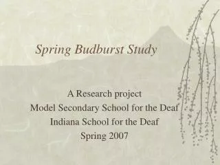 Spring Budburst Study