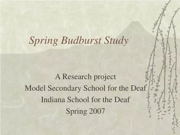 spring budburst study