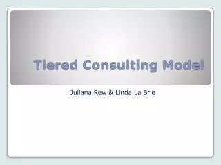 Tiered Consulting Model