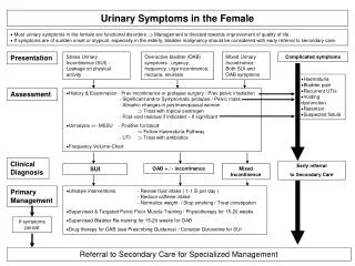 Urinary Symptoms in the Female