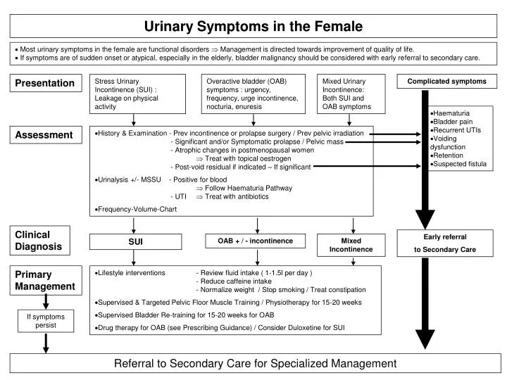 urinary symptoms in the female