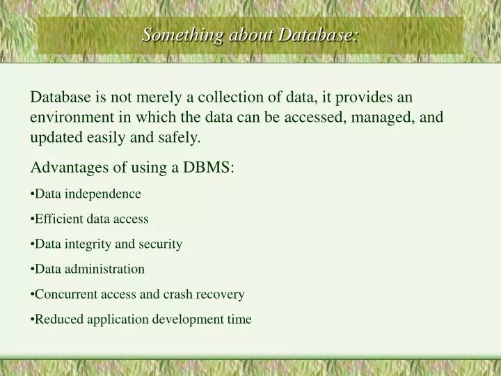 something about database