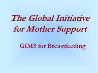 The Global Initiative for Mother Support