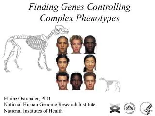 Finding Genes Controlling Complex Phenotypes