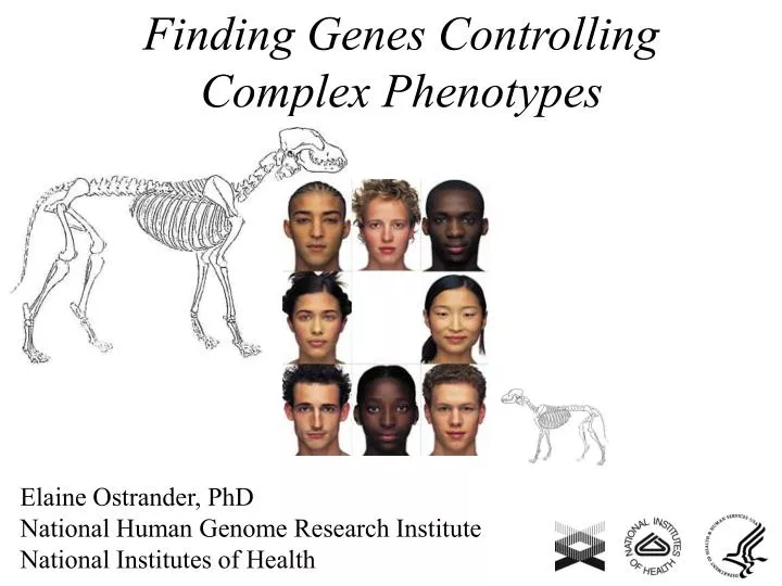 finding genes controlling complex phenotypes