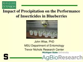 Impact of Precipitation on the Performance of Insecticides in Blueberries