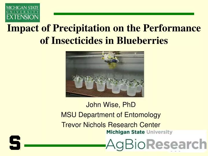 impact of precipitation on the performance of insecticides in blueberries