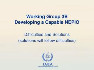 Working Group 3B Developing a Capable NEPIO