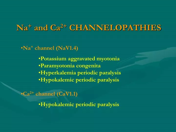 na and ca 2 channelopathies