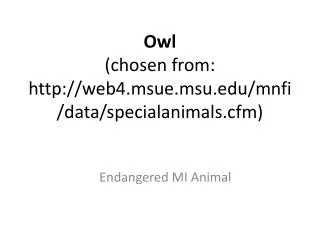 Owl (chosen from: web4.msue.msu/mnfi/data/specialanimals.cfm)