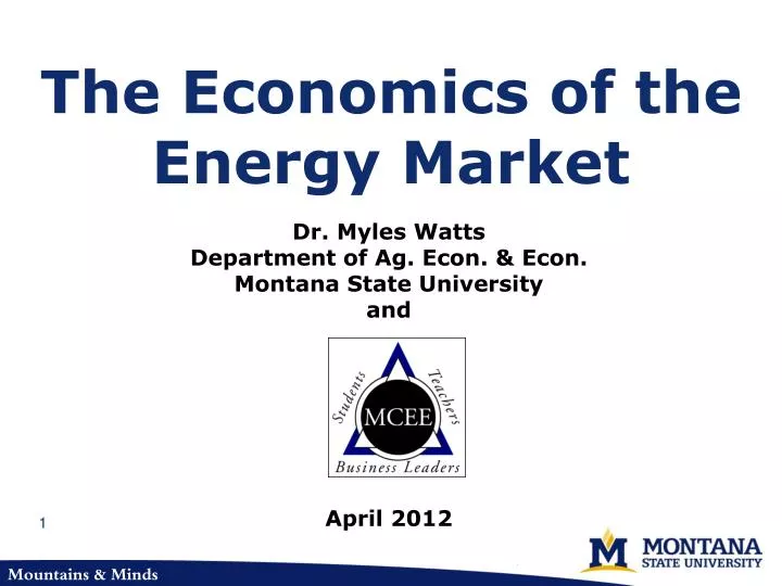 the economics of the energy market