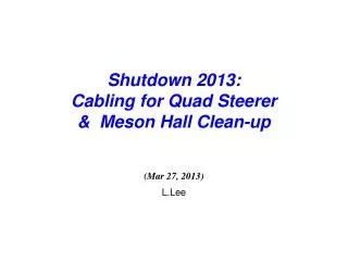 Shutdown 2013: Cabling for Quad Steerer &amp; Meson Hall Clean-up (Mar 27, 2013) L.Lee