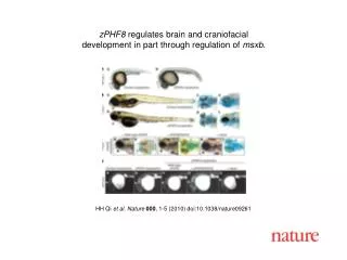 HH Qi et al. Nature 000 , 1-5 (2010) doi:10.1038/nature09261