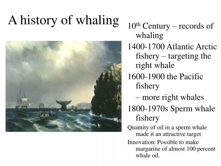 a history of whaling