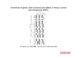 JF Hughes et al . Nature 000 , 1 - 6 (2012) doi:10.1038/nature10843