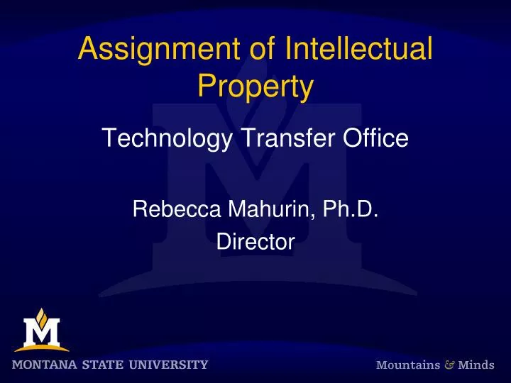 assignment of intellectual property
