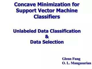 Concave Minimization for Support Vector Machine Classifiers