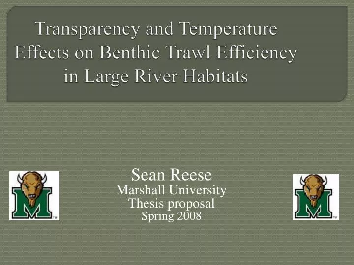 transparency and temperature effects on benthic trawl efficiency in large river habitats