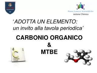 carbonio organico mtbe