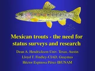 Mexican trouts - the need for status surveys and research
