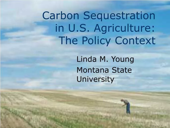 carbon sequestration in u s agriculture the policy context