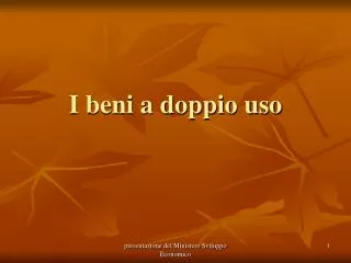 i beni a doppio uso