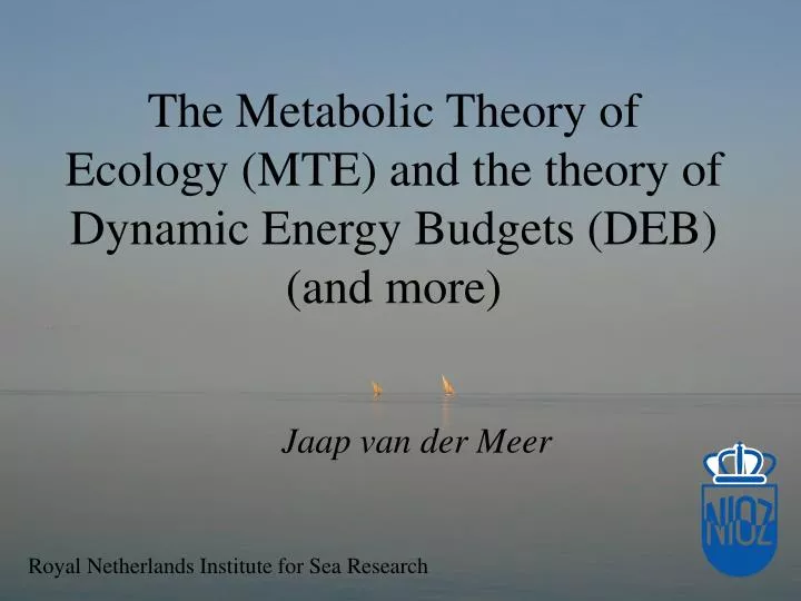 the metabolic theory of ecology mte and the theory of dynamic energy budgets deb and more