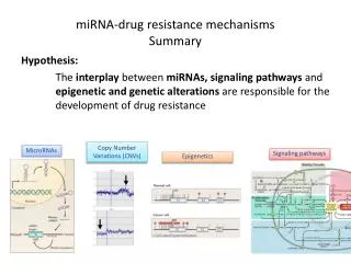 miRNA -drug resistance mechanisms Summary