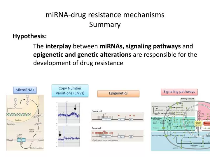 mirna drug resistance mechanisms summary