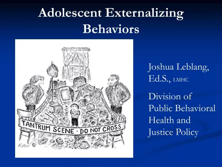 adolescent externalizing behaviors