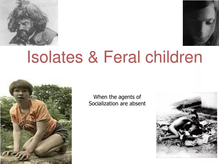 isolates feral children