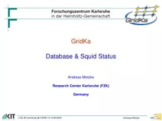 GridKa Database &amp; Squid Status Andreas Motzke Research Center Karlsruhe (FZK) Germany