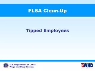 FLSA Clean-Up