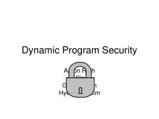 Dynamic Program Security