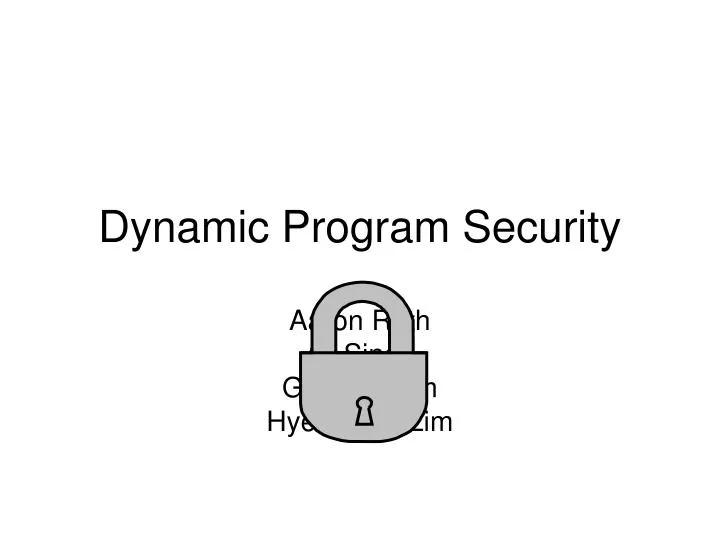 dynamic program security
