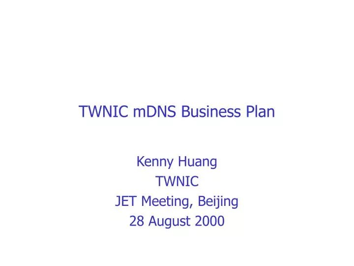 twnic mdns business plan