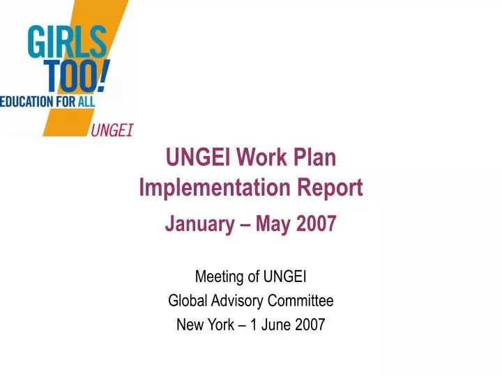 ungei work plan implementation report january may 2007