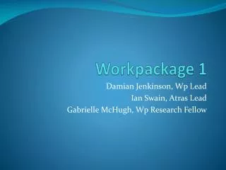 Workpackage 1